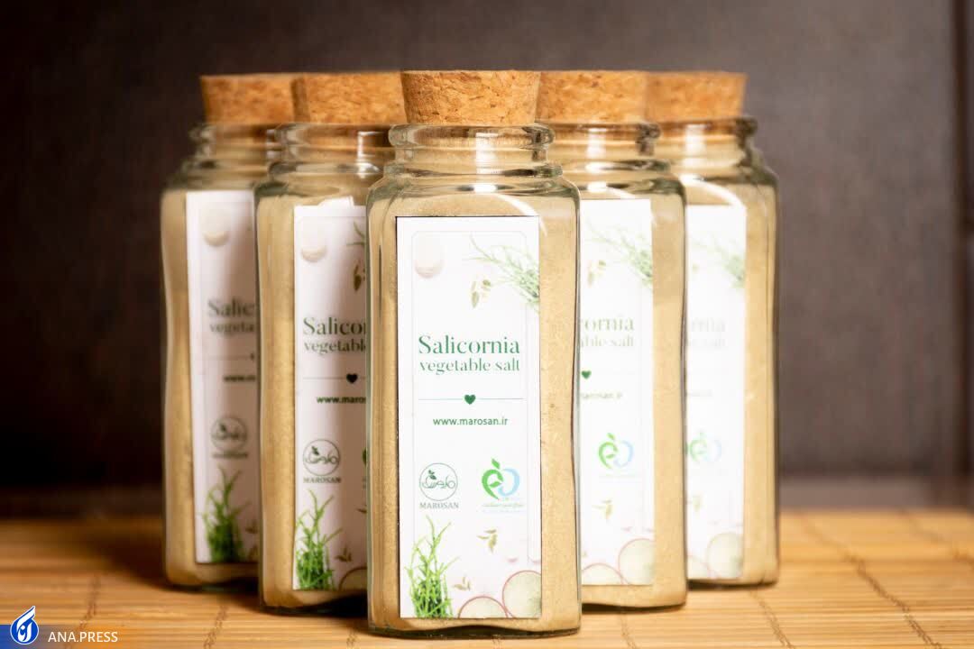 تولید چاشنی شور گیاهی برای نخستین بار در ایران تولید چاشنی شور گیاهی برای نخستین بار در ایران