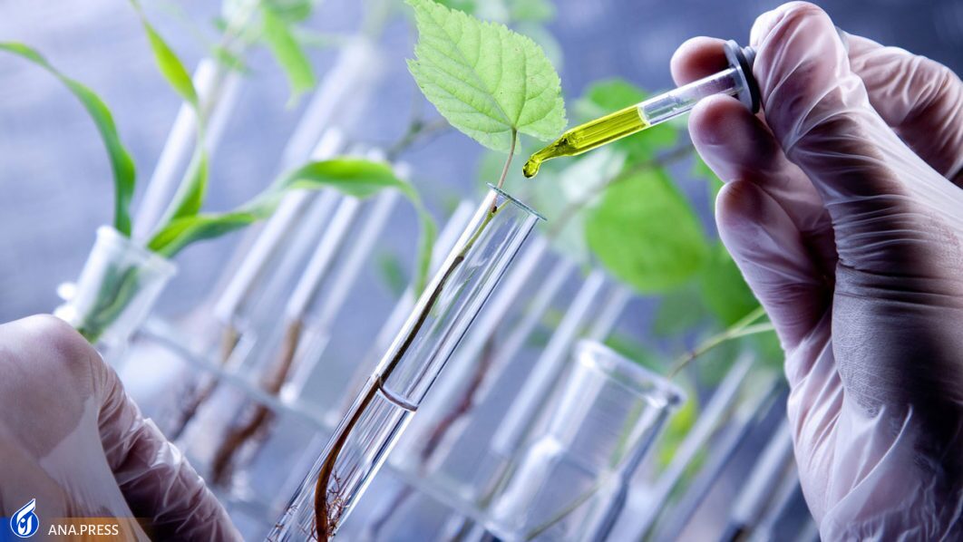 یک قدم تا قله خودکفایی؛ زیست فناوری چگونه برای کشور ثروت آفرینی می‌کند؟