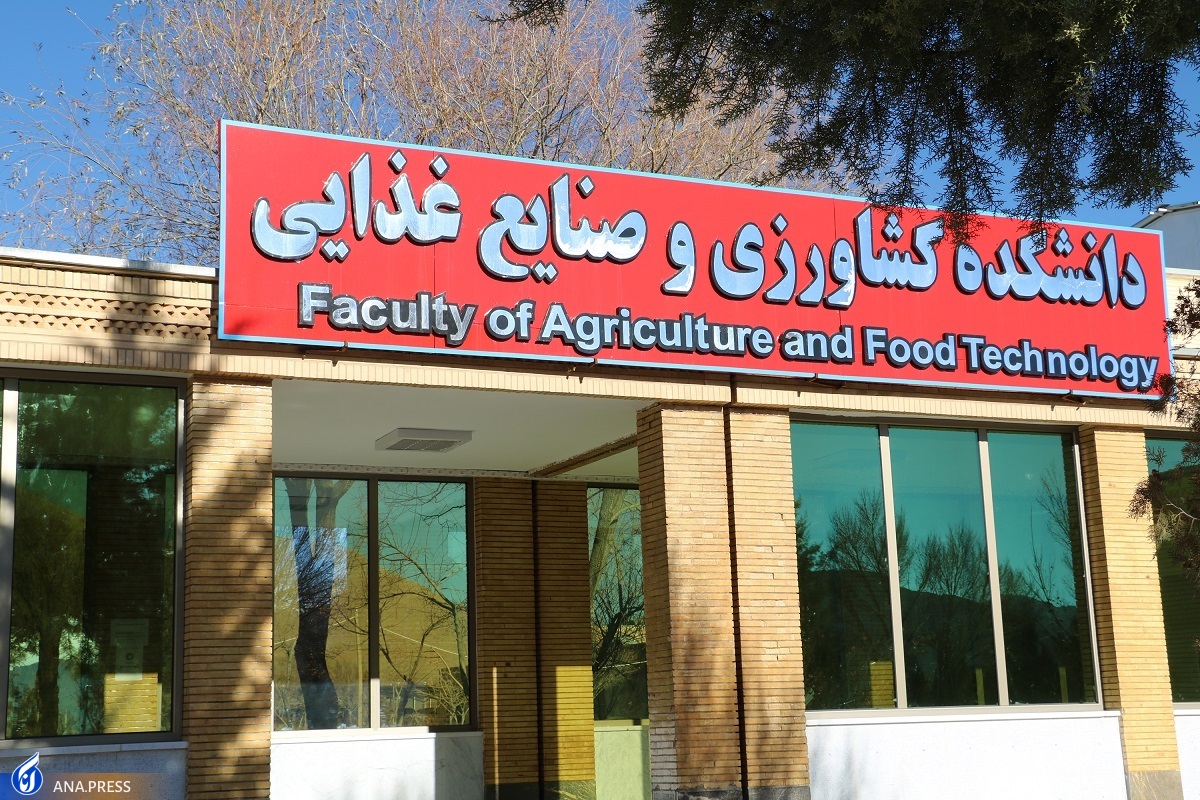 نگاه فناورانه مرکز تحقیقات گیاهان دارویی ادویهای و عطری به حوزه سلامت نگاه فناورانه مرکز تحقیقات گیاهان دارویی ادویهای و عطری به حوزه سلامت