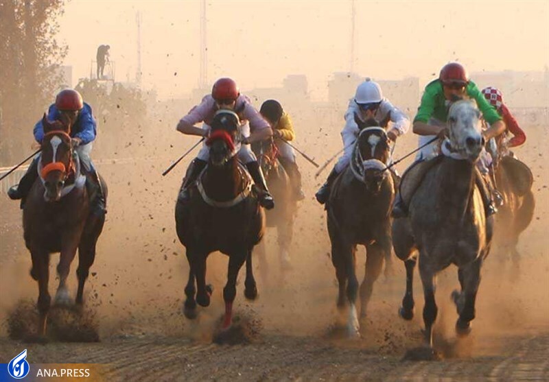 خلیلی: حکم دیوان عدالت اداری از سوی وزارت لازمالاجرا است/ با حکم قاضی، رئیس فدراسیون هستم و برمیگردم!/ عدم پاسخگویی از سوی وزارت روش درستی نیست خلیلی: حکم دیوان عدالت اداری از سوی وزارت لازمالاجرا است/ با حکم قاضی، رئیس فدراسیون هستم و برمیگردم!/ عدم پاسخگویی از سوی وزارت روش درستی نیست