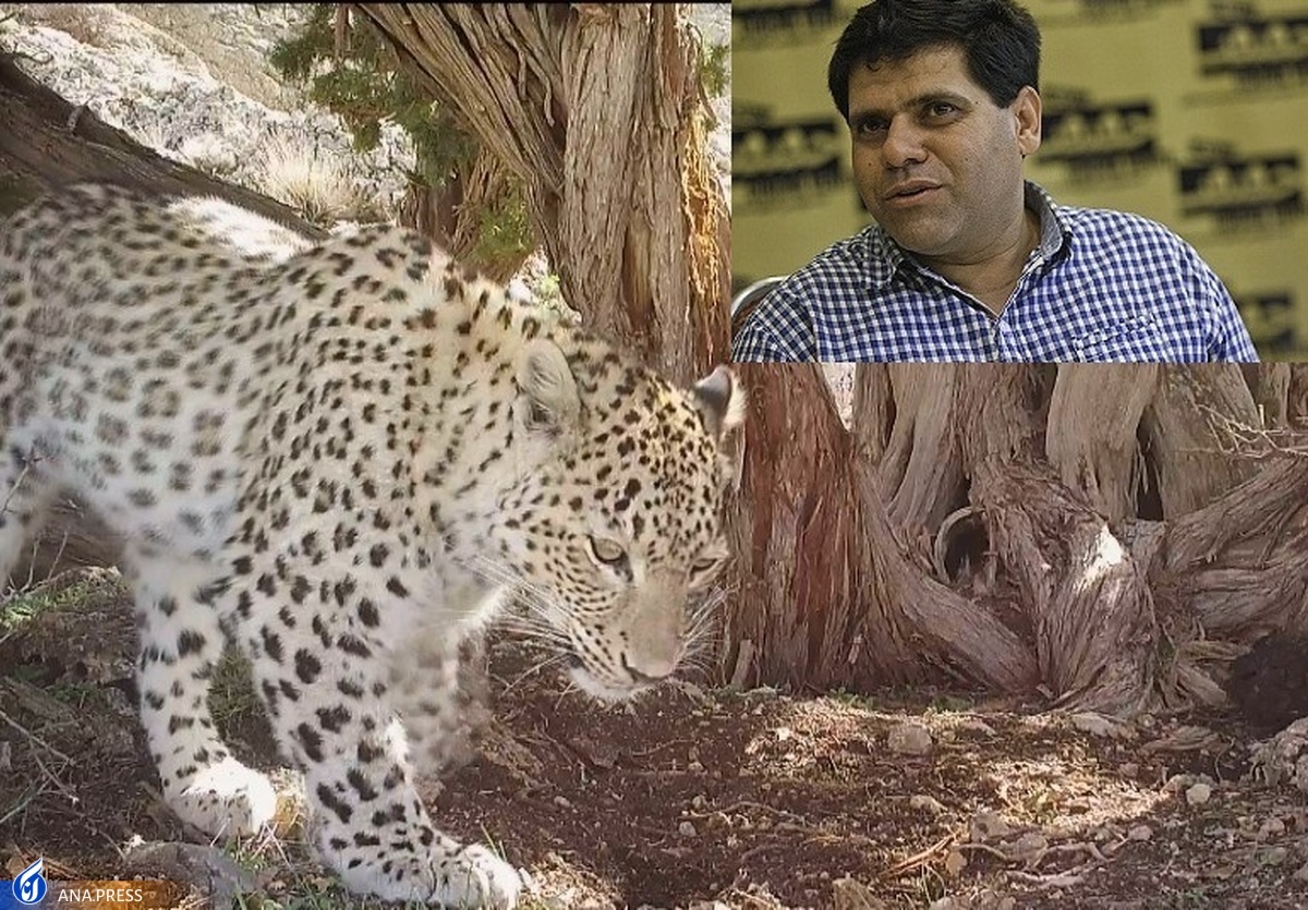 لذت تماشای «دنیای وحشی زاگرس» در افتتاحیه جمع و جور «سینما حقیقت» لذت تماشای «دنیای وحشی زاگرس» در افتتاحیه جمع و جور «سینما حقیقت»