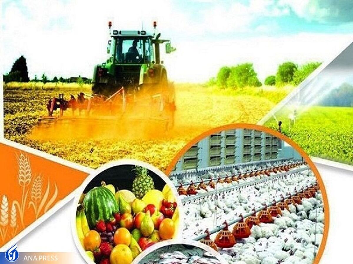 نمایشگاه عرضه مستقیم محصولات کشاورزی در ۴ منطقه تهران برگزار می‌شود