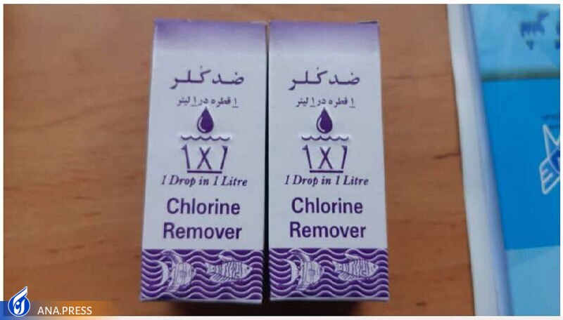 تولید دانشبنیان تخممرغهای غنیشده با مواد معدنی تولید دانشبنیان تخممرغهای غنیشده با مواد معدنی