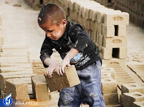 شناسایی ۱۴ هزار کودک کار طی ماههای اخیر/ علت رد مرز نشدن کودکان کار غیرمجاز چیست؟ شناسایی ۱۴ هزار کودک کار طی ماههای اخیر/ علت رد مرز نشدن کودکان کار غیرمجاز چیست؟