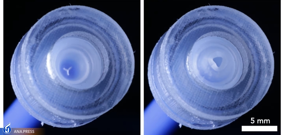 ساخت ربات چهارپا و دست رباتیک با الهام از بطری سس گوجه فرنگی! +فیلم ساخت ربات چهارپا و دست رباتیک با الهام از بطری سس گوجه فرنگی! +فیلم