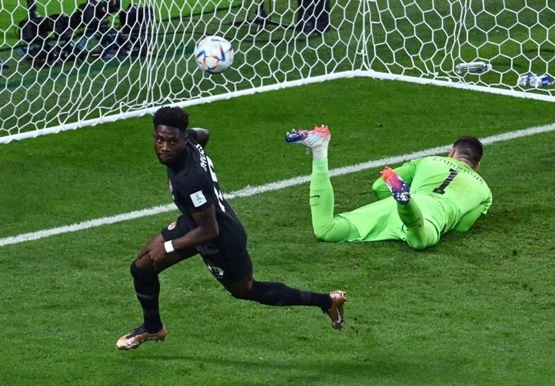 برگ‌های افرا در جام جهانی قطر سرخ‌تر شدند!