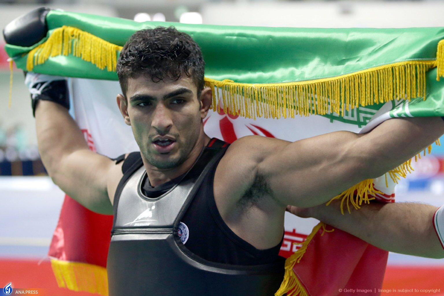 سیفی: وقتش شود به راحتی آب خوردن از ورزش میروم/بزرگترین حسرتم المپیکی نشدن ووشو است سیفی: وقتش شود به راحتی آب خوردن از ورزش میروم/بزرگترین حسرتم المپیکی نشدن ووشو است