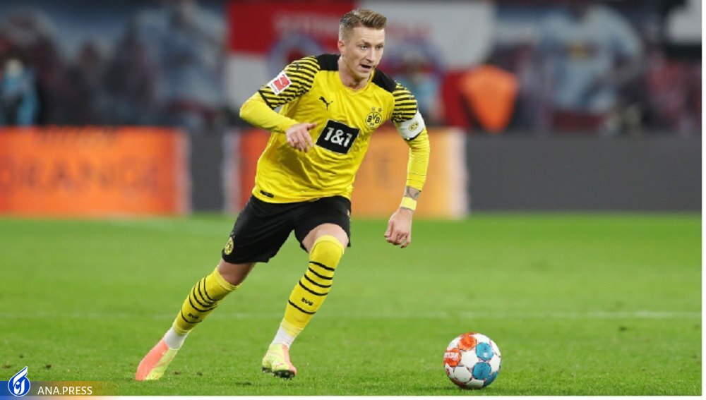 «مارکو» از اسطوره ایی تاثیرگذار زرد‌ها تا شاگرد تنبل زنبور‌های وستفالن