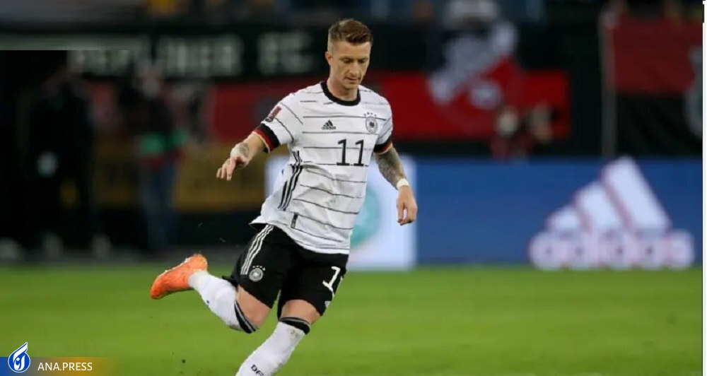 «مارکو» از اسطوره ایی تاثیرگذار زرد‌ها تا شاگرد تنبل زنبور‌های وستفالن