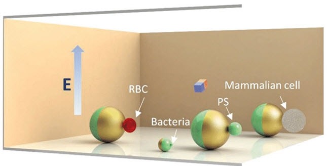 میکرو رباتی که سلولهای سرطانی را شناسایی میکند میکرو رباتی که سلولهای سرطانی را شناسایی میکند