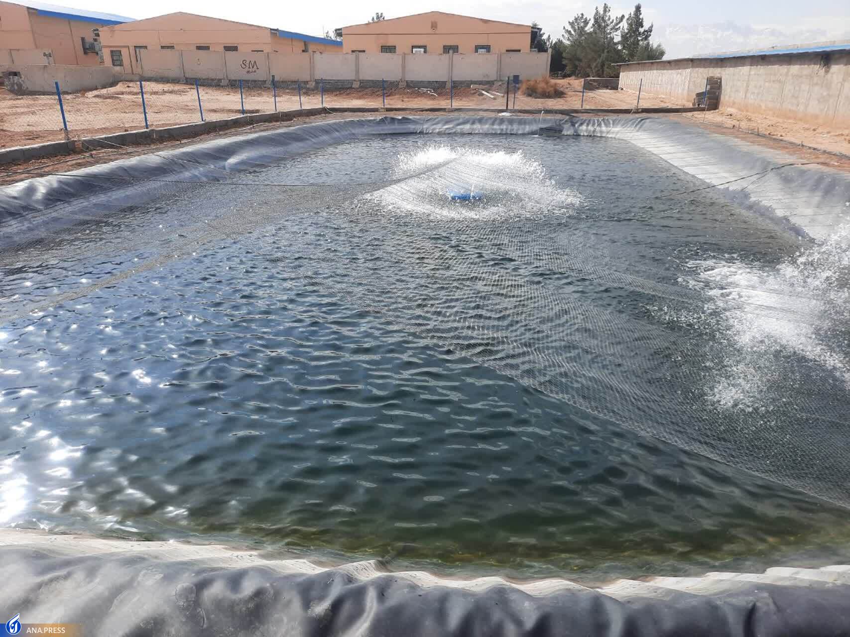 ظرفیت نیروگاه خورشیدی دانشگاه آزاد اشکذر ۲ برابر می‌شود