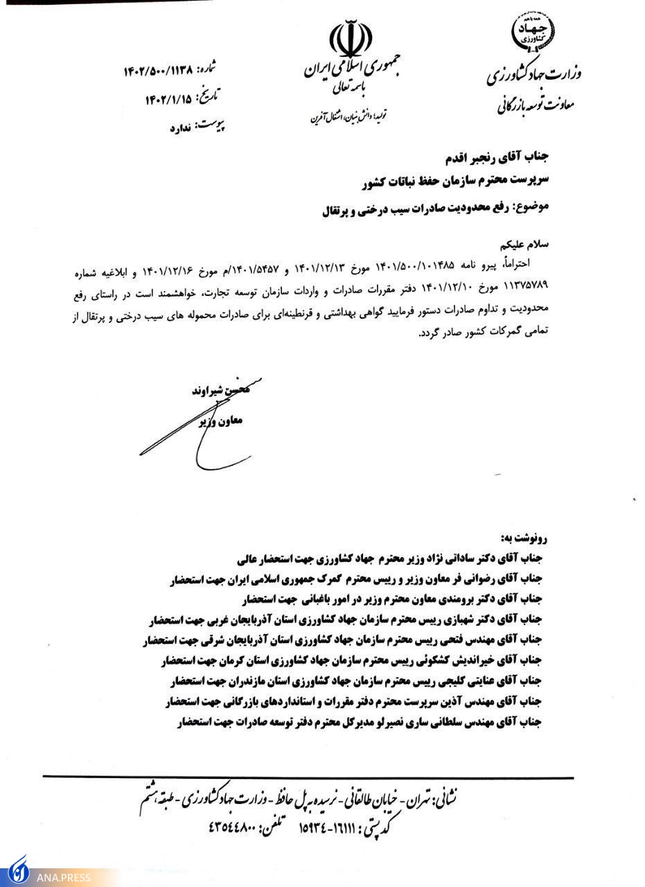 صادرات سیب درختی و پرتقال آزاد شد صادرات سیب درختی و پرتقال آزاد شد