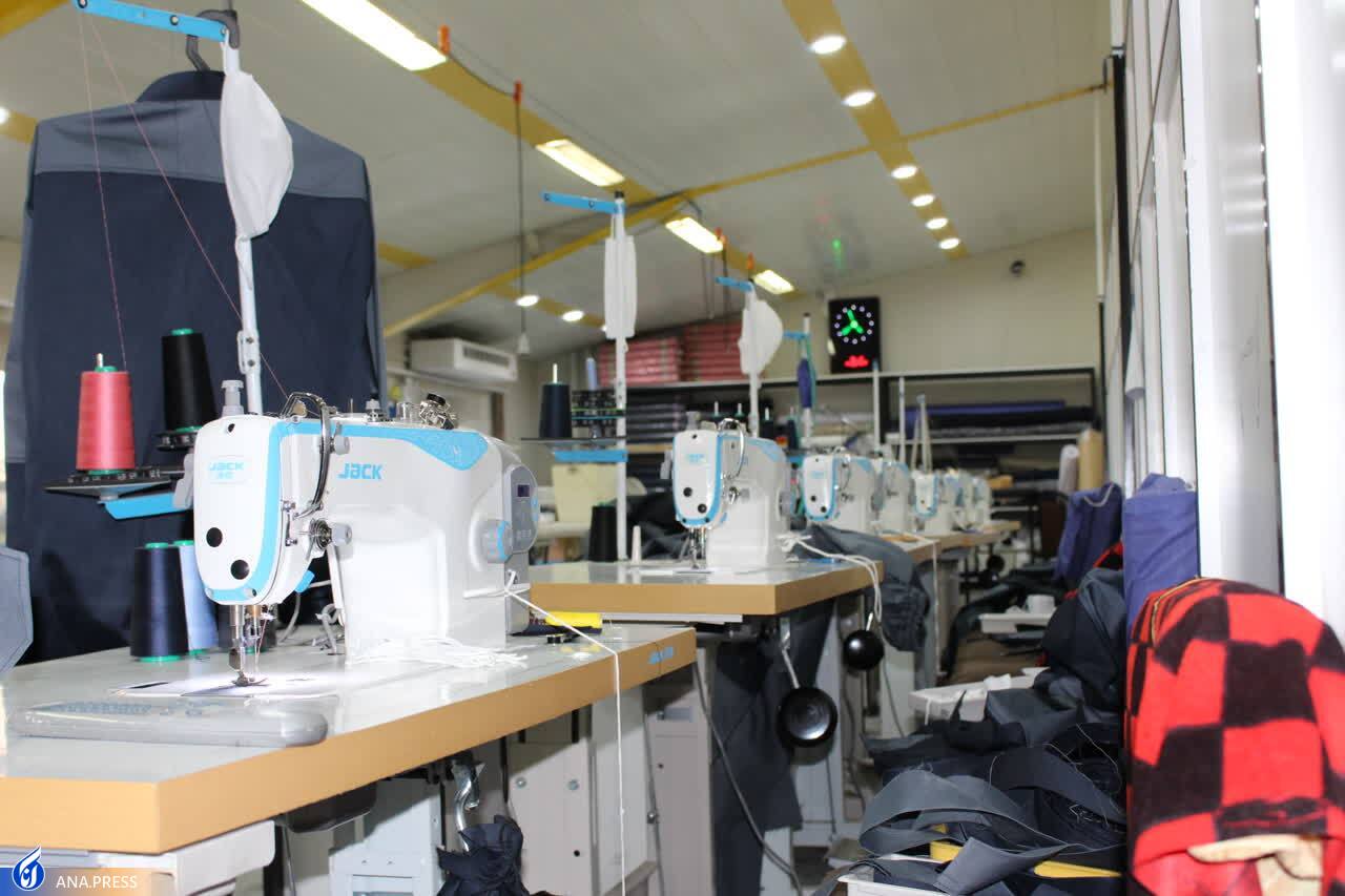 از اجرای طرح دانش‌بنیان تولید «کود اورمیک» تا برندسازی محصول فناورانه رزماری