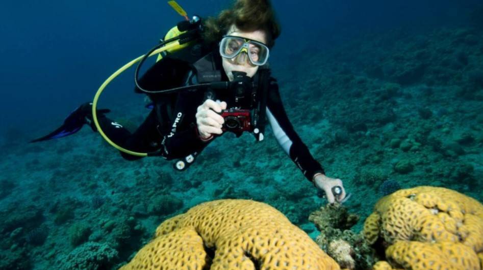 به مناسبت روز زن / زنانی که چهره علم را تغییر دادند به مناسبت روز زن / زنانی که چهره علم را تغییر دادند
