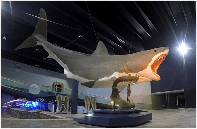 6 جانور عظیم‌الجثه‌ای که واقعاً وجود دارند