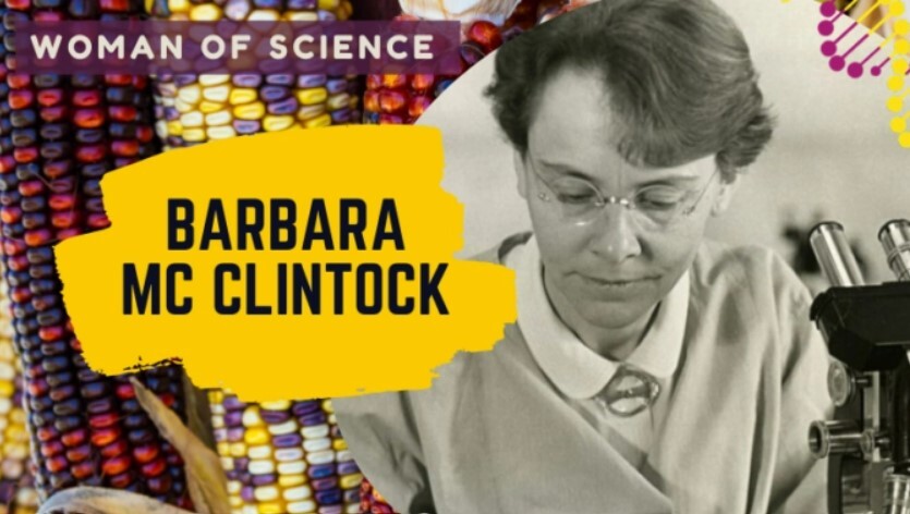 گزارش زنان جهان (قسمت دوم)