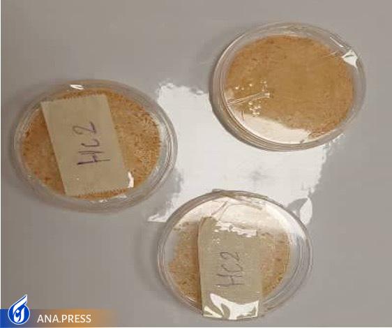 خبری خوش برای بیماران دیابتی‌/ رونمایی از محصولی دانش‌بنیان که از قطع عضو دیابتی‌ها جلوگیری می‌کند