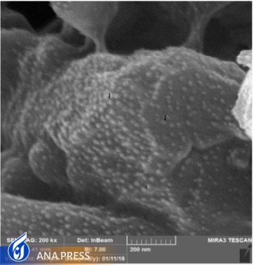 خبری خوش برای بیماران دیابتی‌/ رونمایی از محصولی دانش‌بنیان که از قطع عضو دیابتی‌ها جلوگیری می‌کند