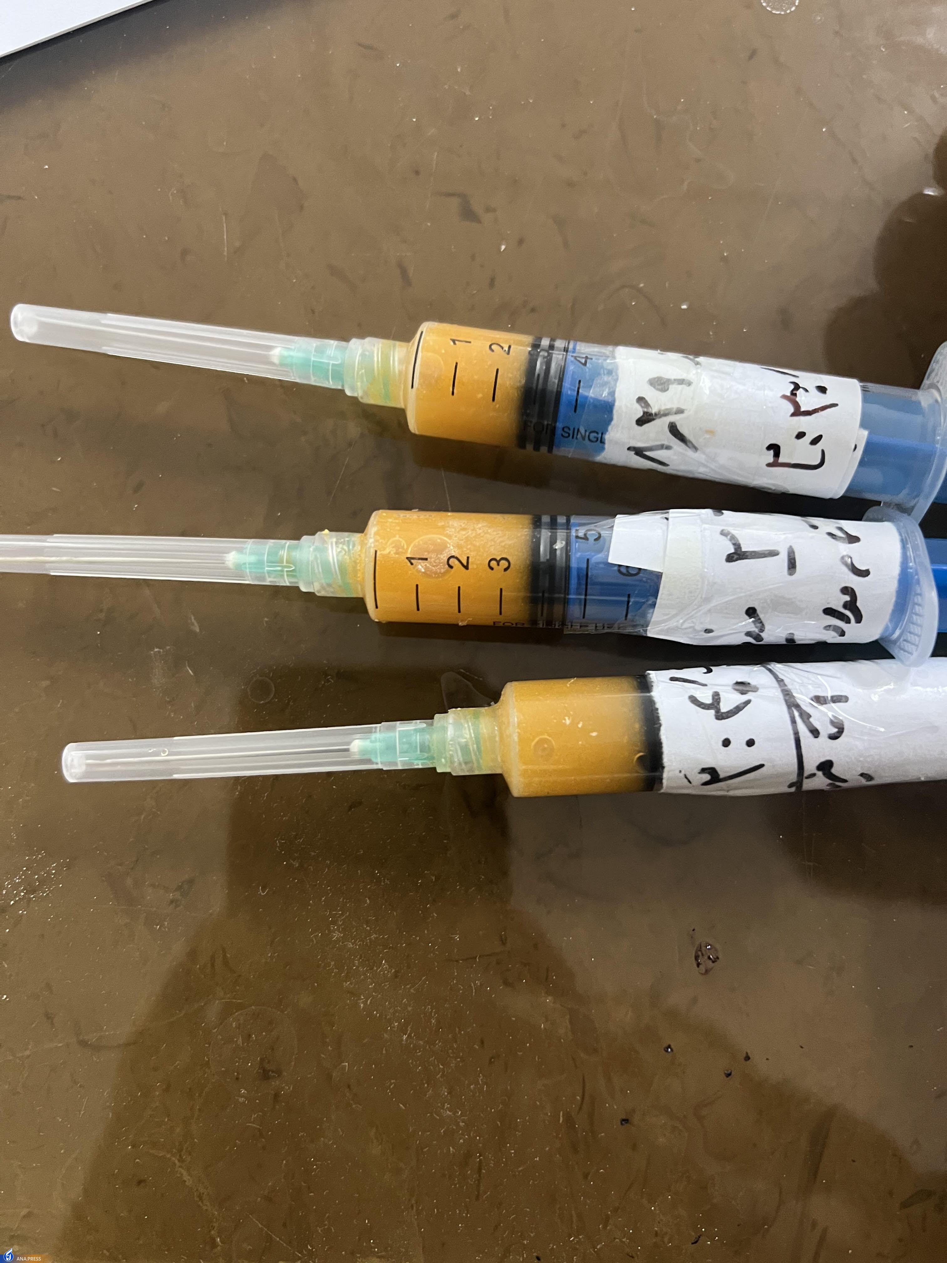 خبری خوش برای بیماران دیابتی‌/ رونمایی از محصولی دانش‌بنیان که از قطع عضو دیابتی‌ها جلوگیری می‌کند