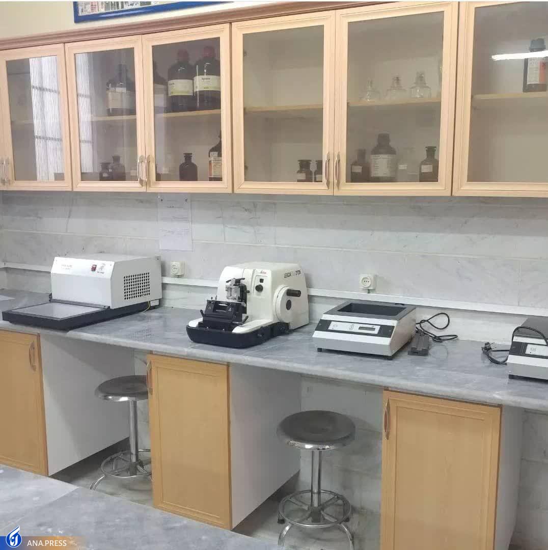 ارائه خدمات آزمایشگاهی محصول‌محور