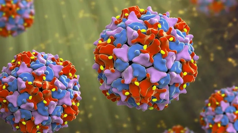 ۱۵ دی در دنیای علم چه خبر؟ ۱۵ دی در دنیای علم چه خبر؟