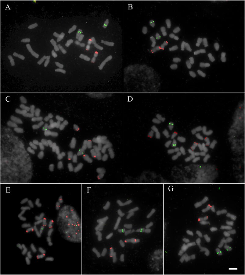 ۱۷ دی در دنیای علم چه خبر؟ ۱۷ دی در دنیای علم چه خبر؟