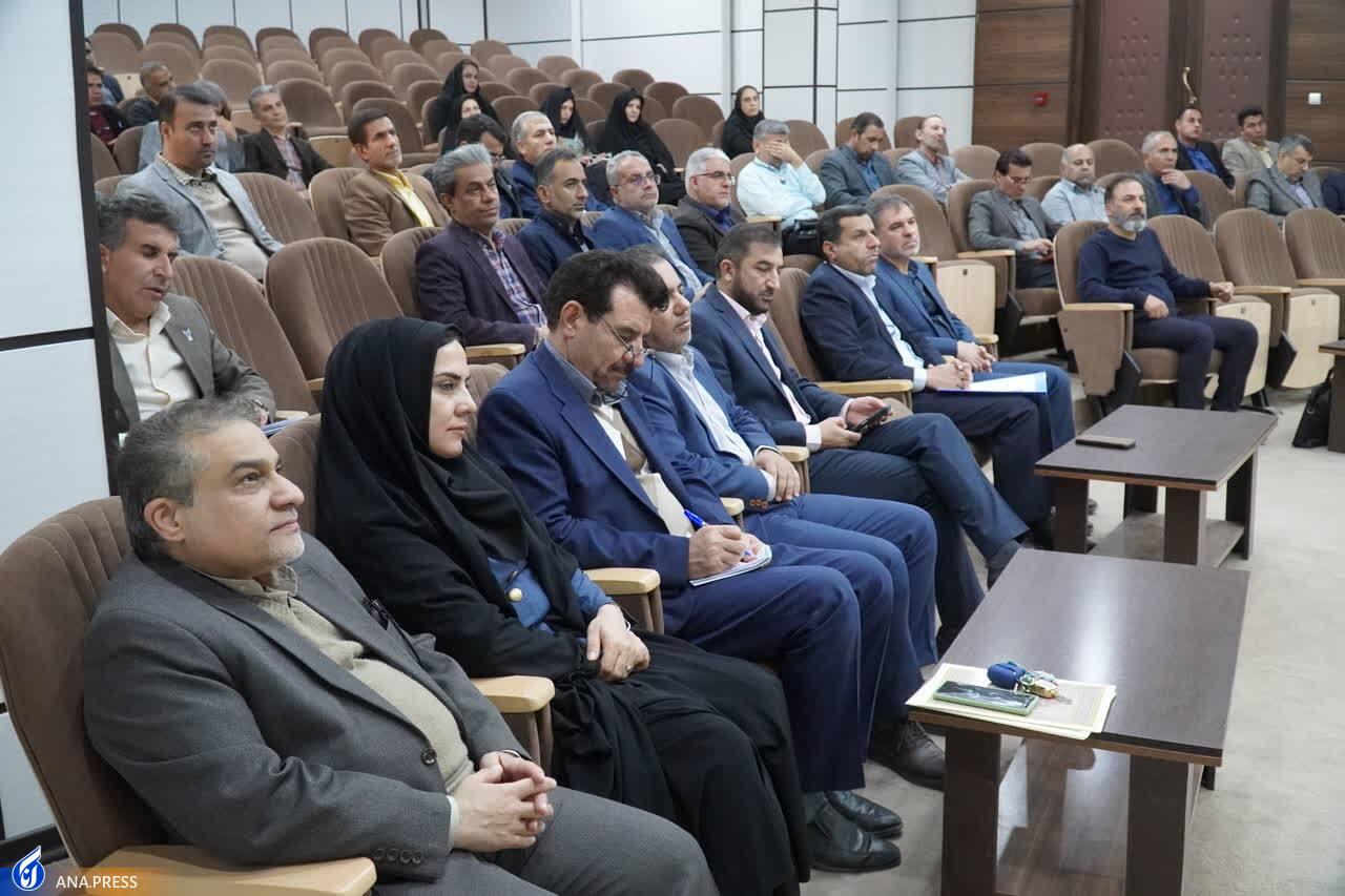 مبارزات شهید سلیمانی مقدمهای برای رخدادهای امروزه فلسطین بود مبارزات شهید سلیمانی مقدمهای برای رخدادهای امروزه فلسطین بود