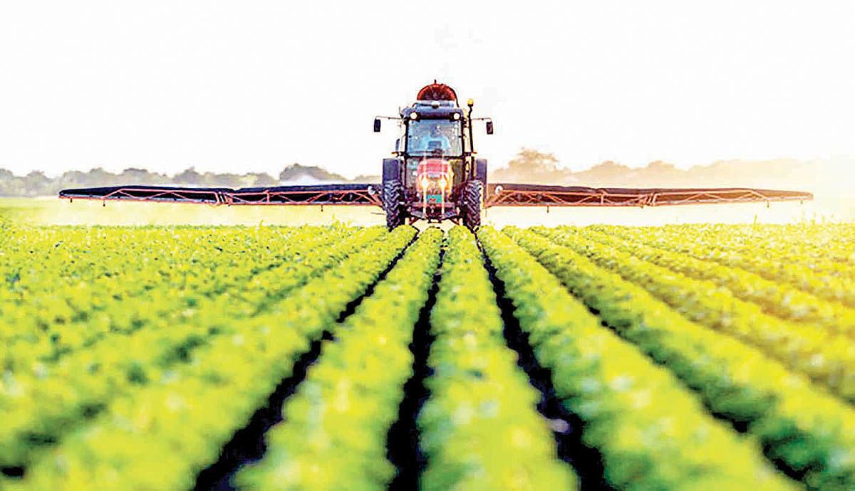 پاسخ منفی بانک‌ها به تخصیص اعتبارات بخش کشاورزی