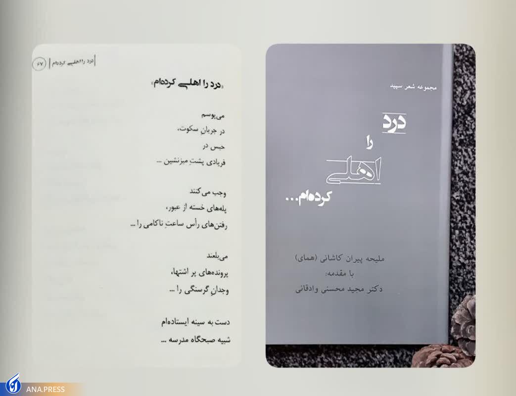 رونمایی از ۲ کتاب ادبی در دانشگاه آزاد اسلامی واحد کاشان رونمایی از ۲ کتاب ادبی در دانشگاه آزاد اسلامی واحد کاشان