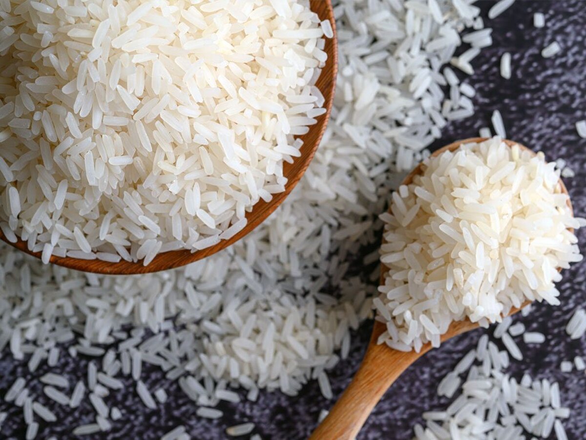 معرفی بهترین برنج ایرانی با راهنمای خرید برنج از کشاورز