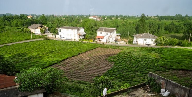 مصادیق و زمینه‌های فساد در موضوع تغییر کاربری اراضی کشاورزی