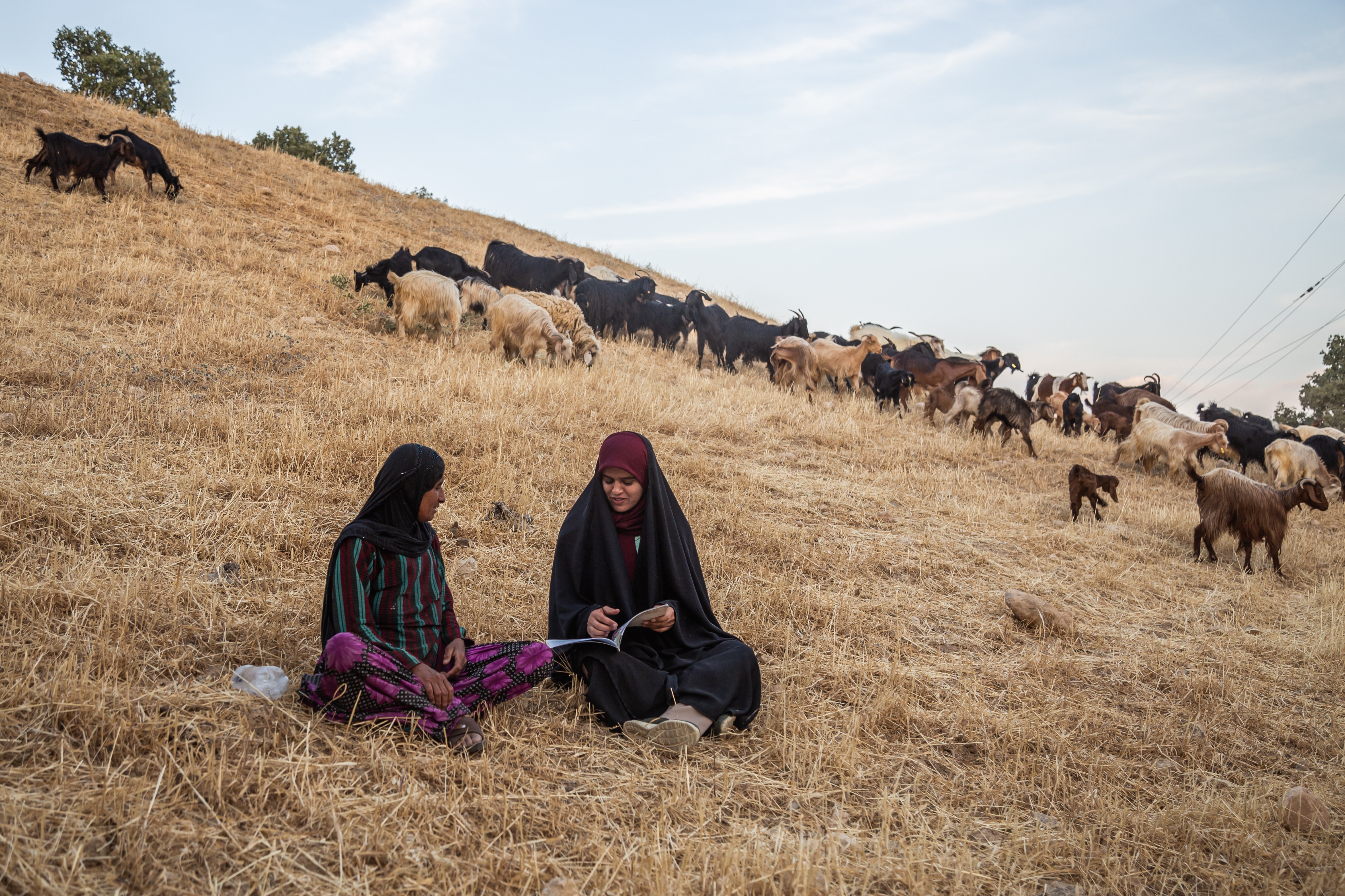 تجربیات یک عکاس مستند از فعالیت هنری خویش/هنر ابزاری در دست هنرمند است تجربیات یک عکاس مستند از فعالیت هنری خویش/هنر ابزاری در دست هنرمند است