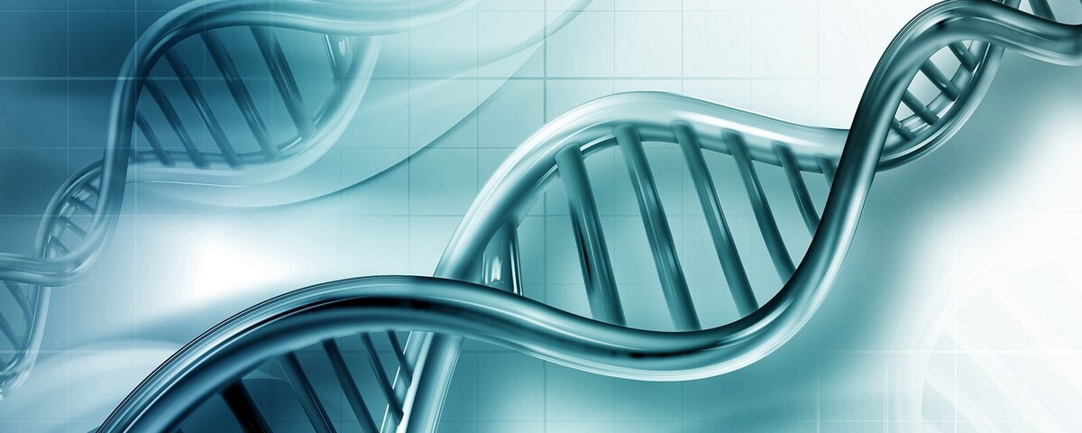 هفتمین همایش کلینیک چندتخصصی ژنتیک نسل فردا برگزار شد
