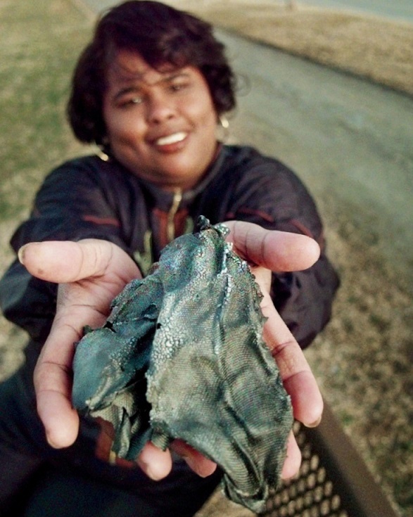 ۲ بهمن در دنیای علم چه خبر؟ ۲ بهمن در دنیای علم چه خبر؟