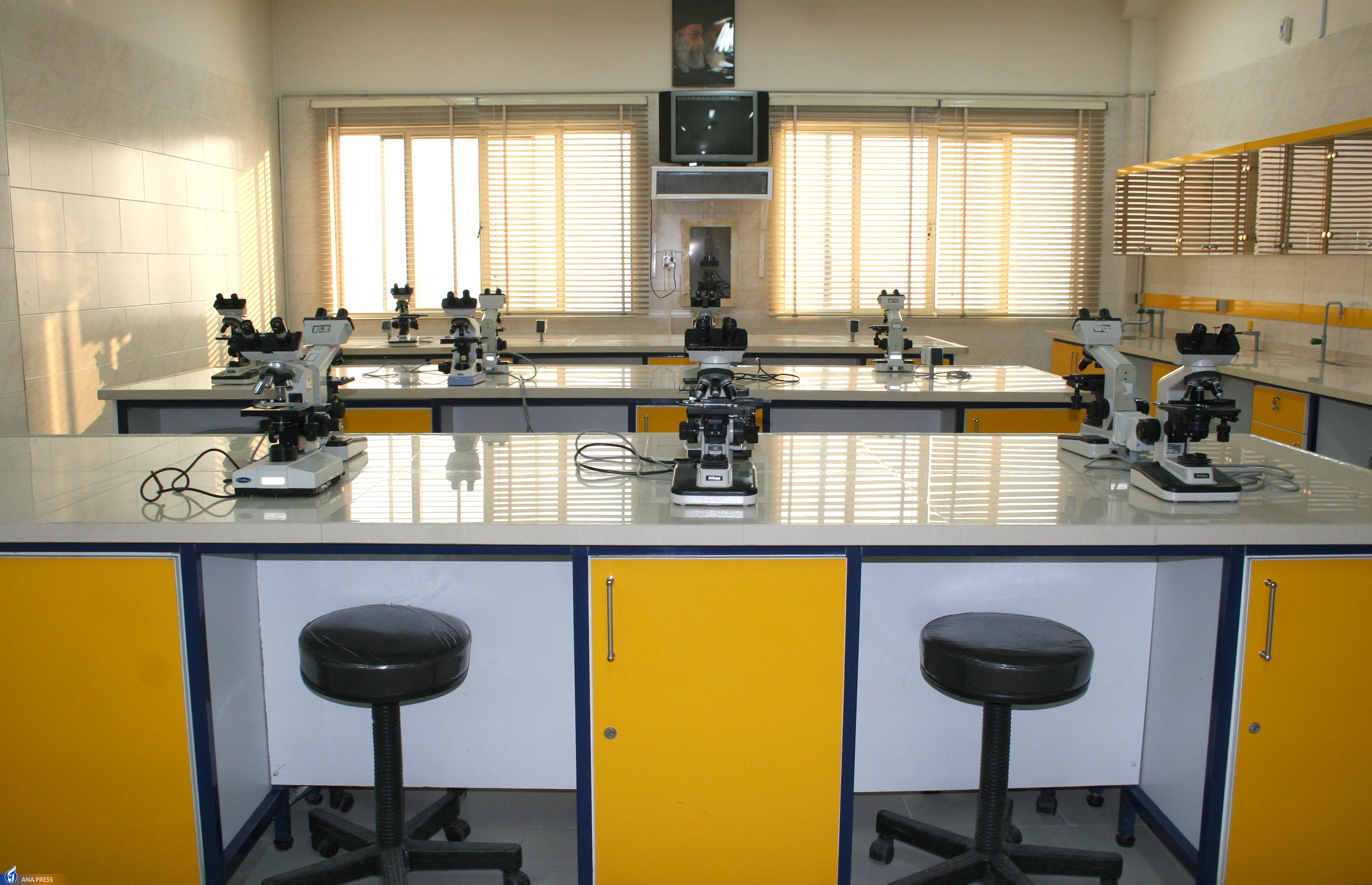 رشد ۱۱ هزار و ۳۹۳ نفری دانشجو در دانشگاه آزاد البرز/ ارزیابی تحصیلی دانشجویان بر مبنای یادگیری عمیق مبتنی بر داده‌های پیمایشی است