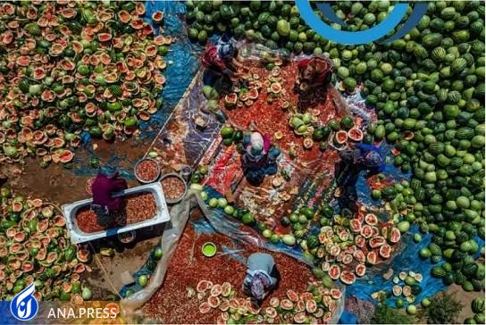 کسب مقام نخست جشنواره بین‌المللی عکس آمریکا توسط کارمند دانشگاه آزاد مشهد