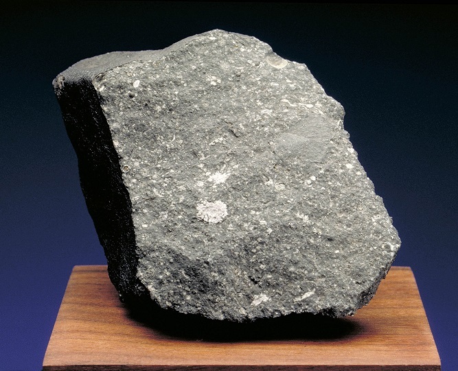 ۱۹ بهمن در دنیای علم چه خبر؟