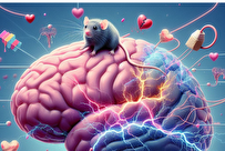 تأثیرات ویژه عشق و جدایی در مغز مشخص شد
