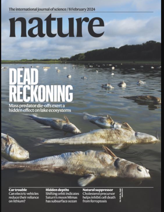 هفته دوم فوریه؛  از تهیه دقیق‌ترین نقشه کهکشان  تا نظریه‌ای برای همه‌چیز