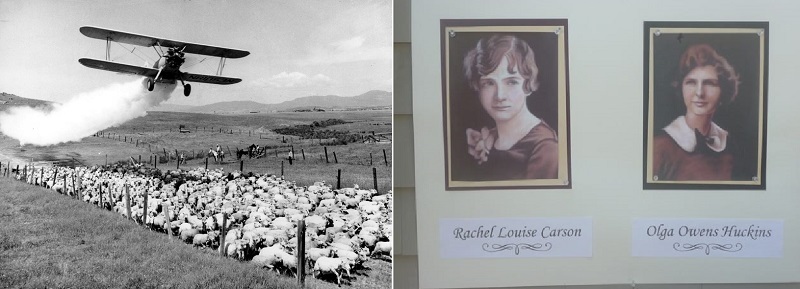 ۹ بهمن در دنیای علم چه خبر؟ ۹ بهمن در دنیای علم چه خبر؟