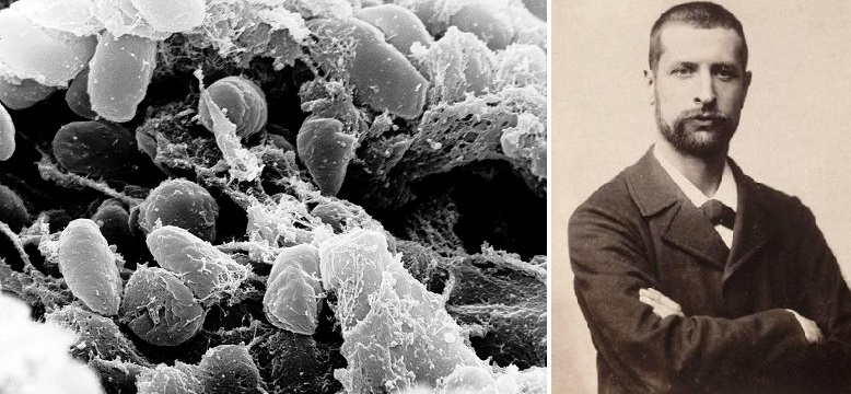 ۱۱ اسفند در دنیای علم چه خبر؟