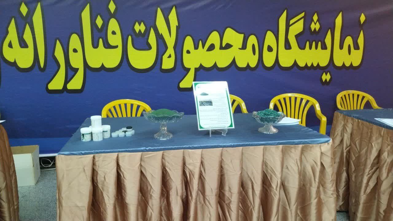 استفاده از ظرفیت دانشجویان در فعالیت‌های فناورانه و دانش‌بنیان