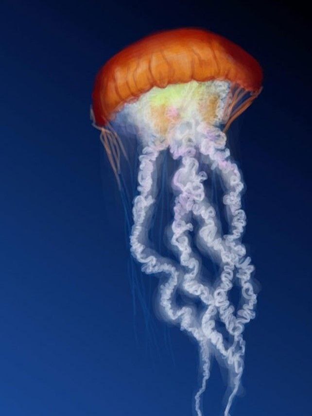 اکتشاف اعماق اقیانوس با عروس دریایی رباتیک