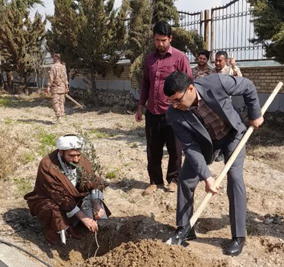 گزارش روز درختکاری///////////////