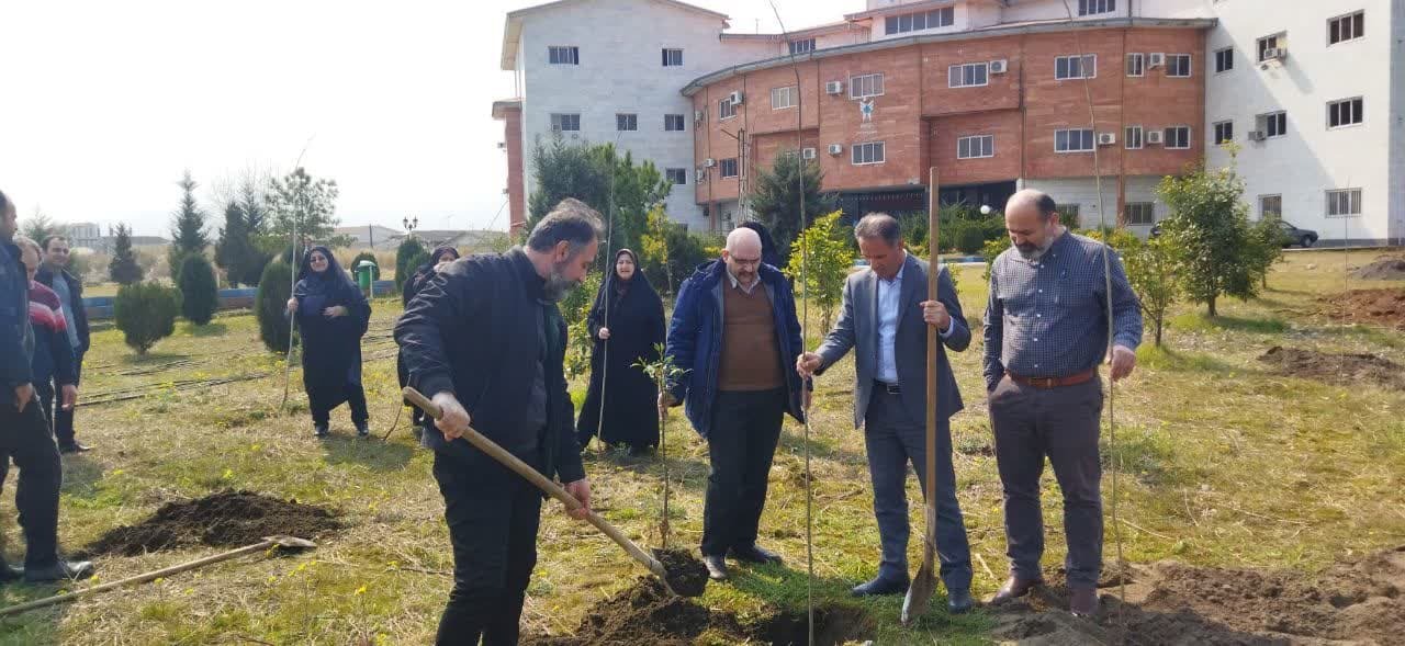 گزارش روز درختکاری///////////////