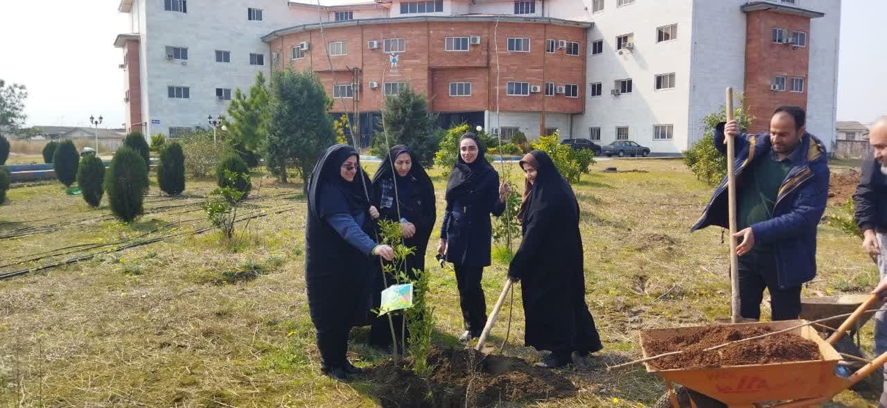 گزارش روز درختکاری/////////////// گزارش روز درختکاری///////////////