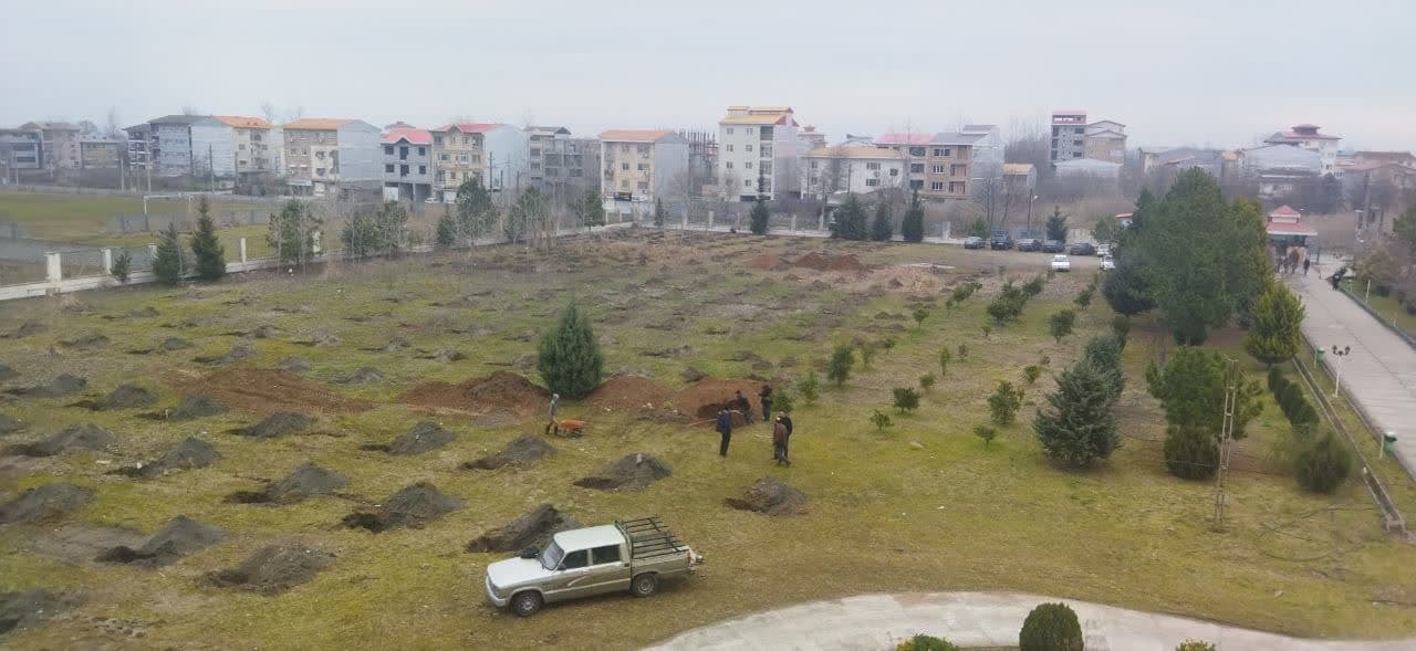 گزارش روز درختکاری///////////////