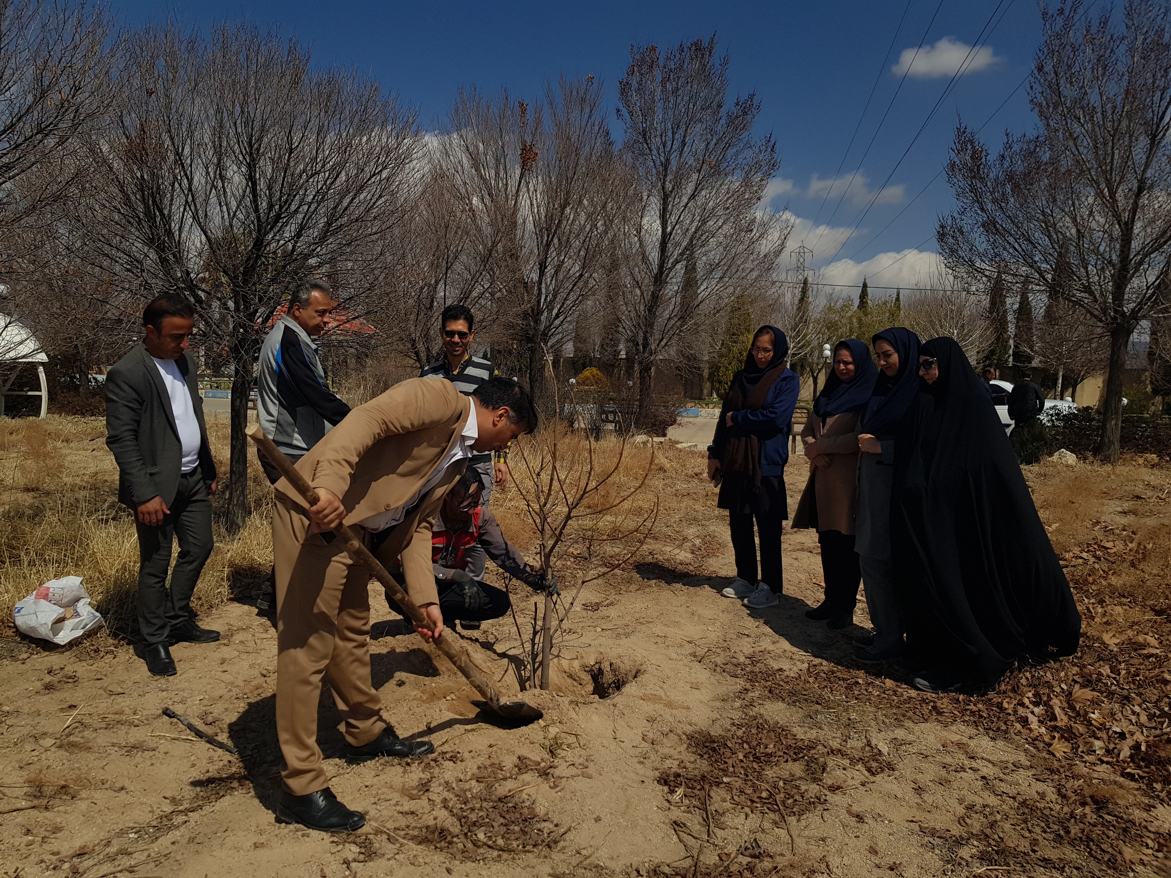 گزارش روز درختکاری///////////////