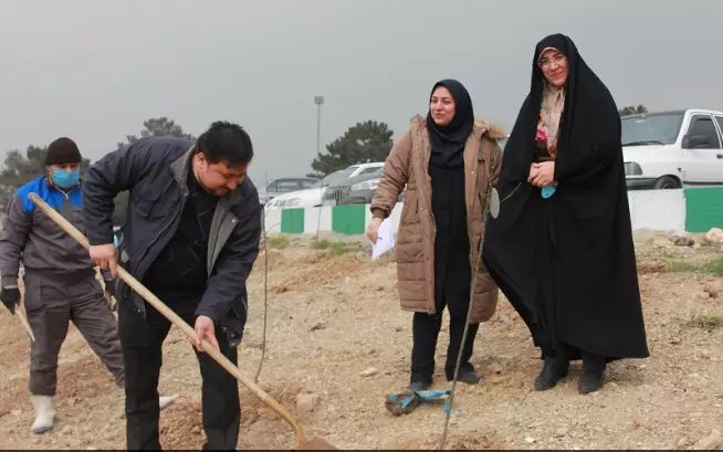 از کاشت ۶۹ درخت سرو به نیت حضرت زینب (س) تا آشتی با طبیعت با شعار «هم‌عهدی سبز»