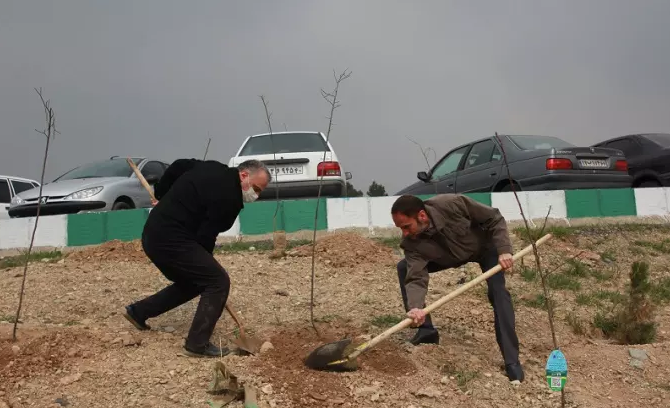 از کاشت ۶۹ درخت سرو به نیت حضرت زینب (س) تا آشتی با طبیعت با شعار «هم‌عهدی سبز»